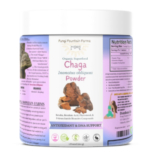 Chaga (Inonotus obliquus) Mushroom Powder